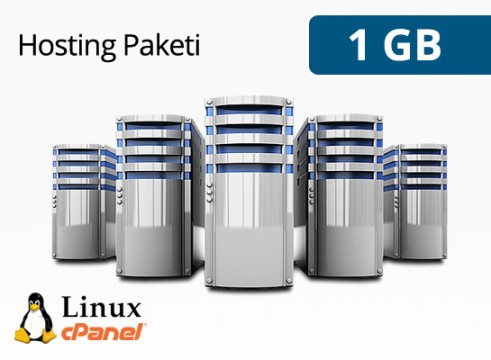 1 gb hosting