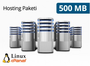 Hosting Paketi 500 MB