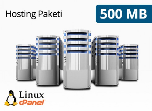 Hosting Paketi 500 MB