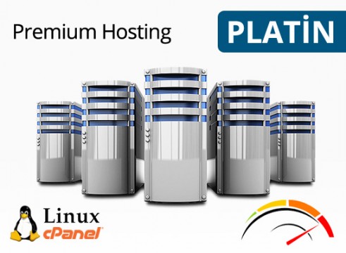 Platin Hosting Paketi (Aylık)